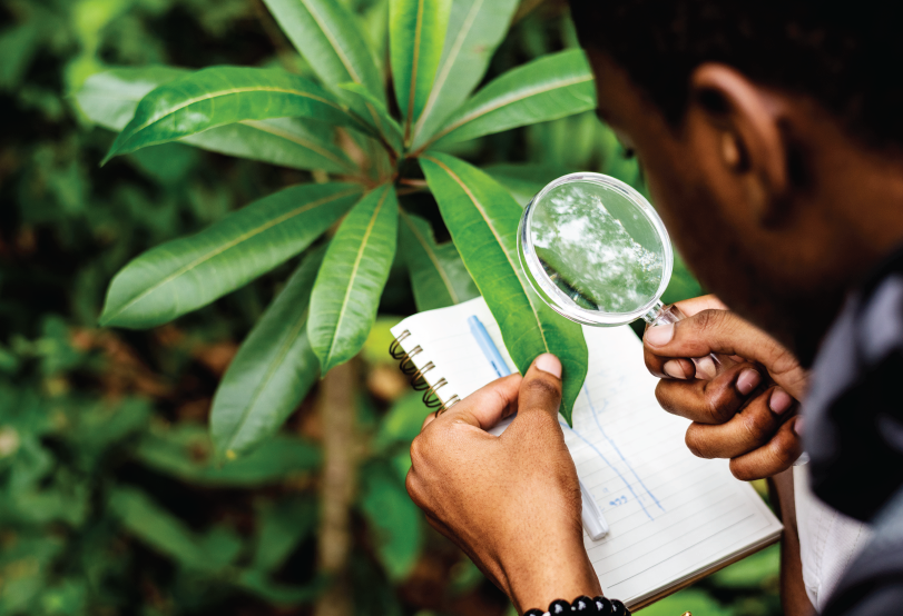 AIA - Avaliação Ambiental