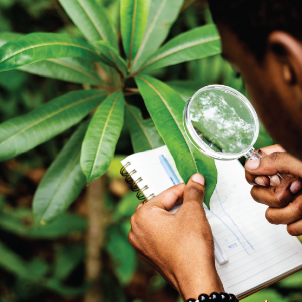 AIA - Avaliação Ambiental