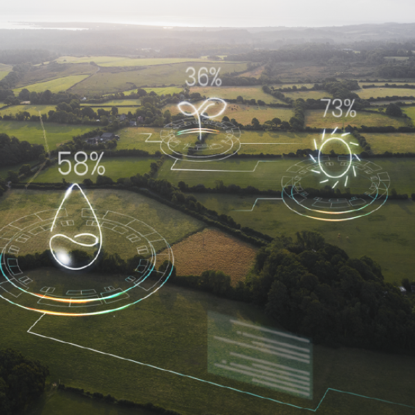 EIA - Estudo de Impacto Ambiental